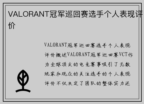 VALORANT冠军巡回赛选手个人表现评价